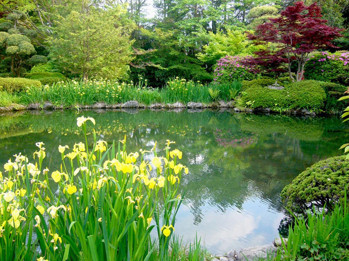Hotel Garden Palace Kumagaya Eksteriør bilde