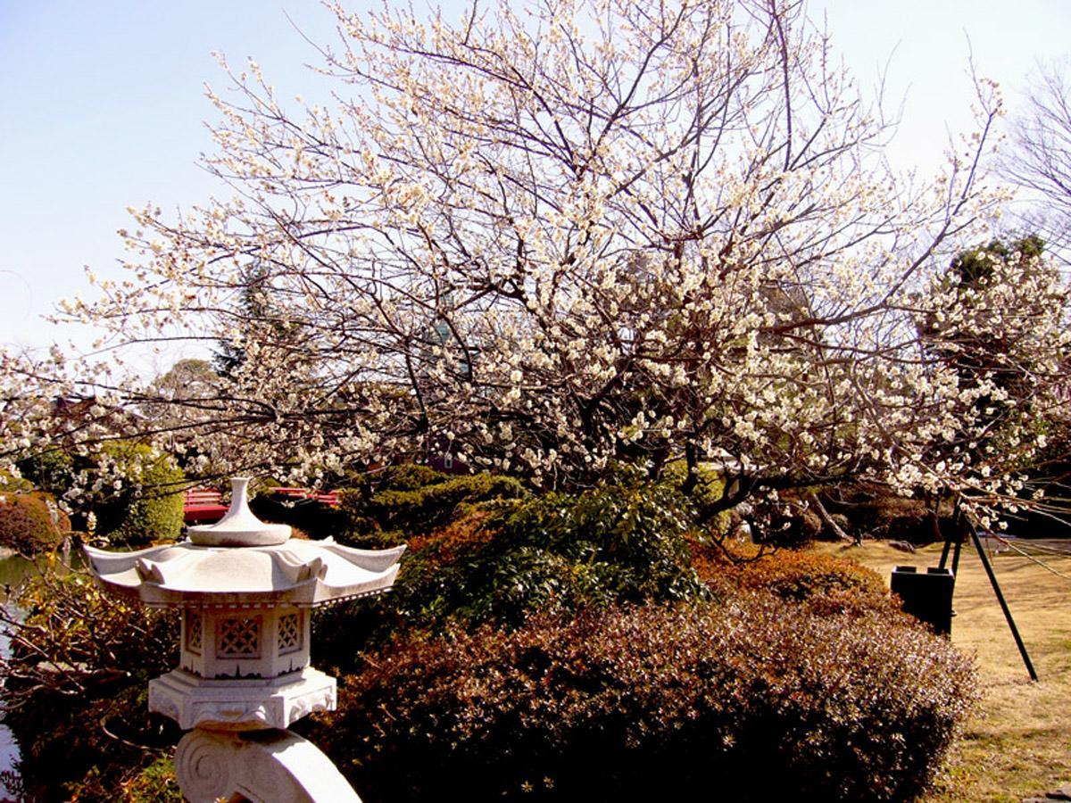 Hotel Garden Palace Kumagaya Eksteriør bilde